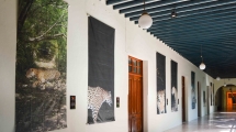 Noticia "El jaguar vive" en el Macay 