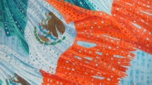 Exposición Los colores de México
