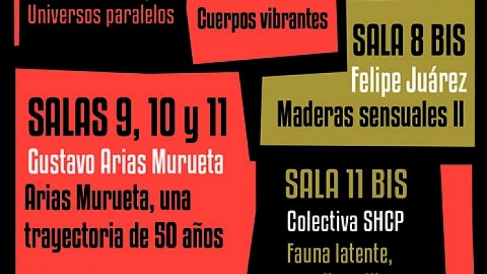 Ocho nuevas exposiciones en el Macay