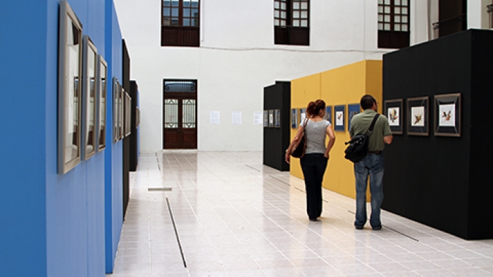 18 de enero se inauguran nuevas exposiciones en el Macay
