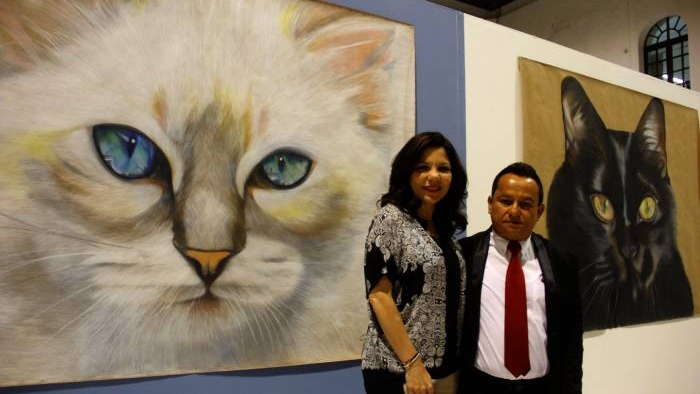 Admiran a los gatos de Loría