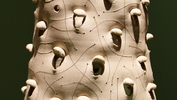 Una tierra poética única