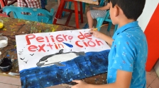 Noticia Invitan a proteger a la vaquita marina a través del arte